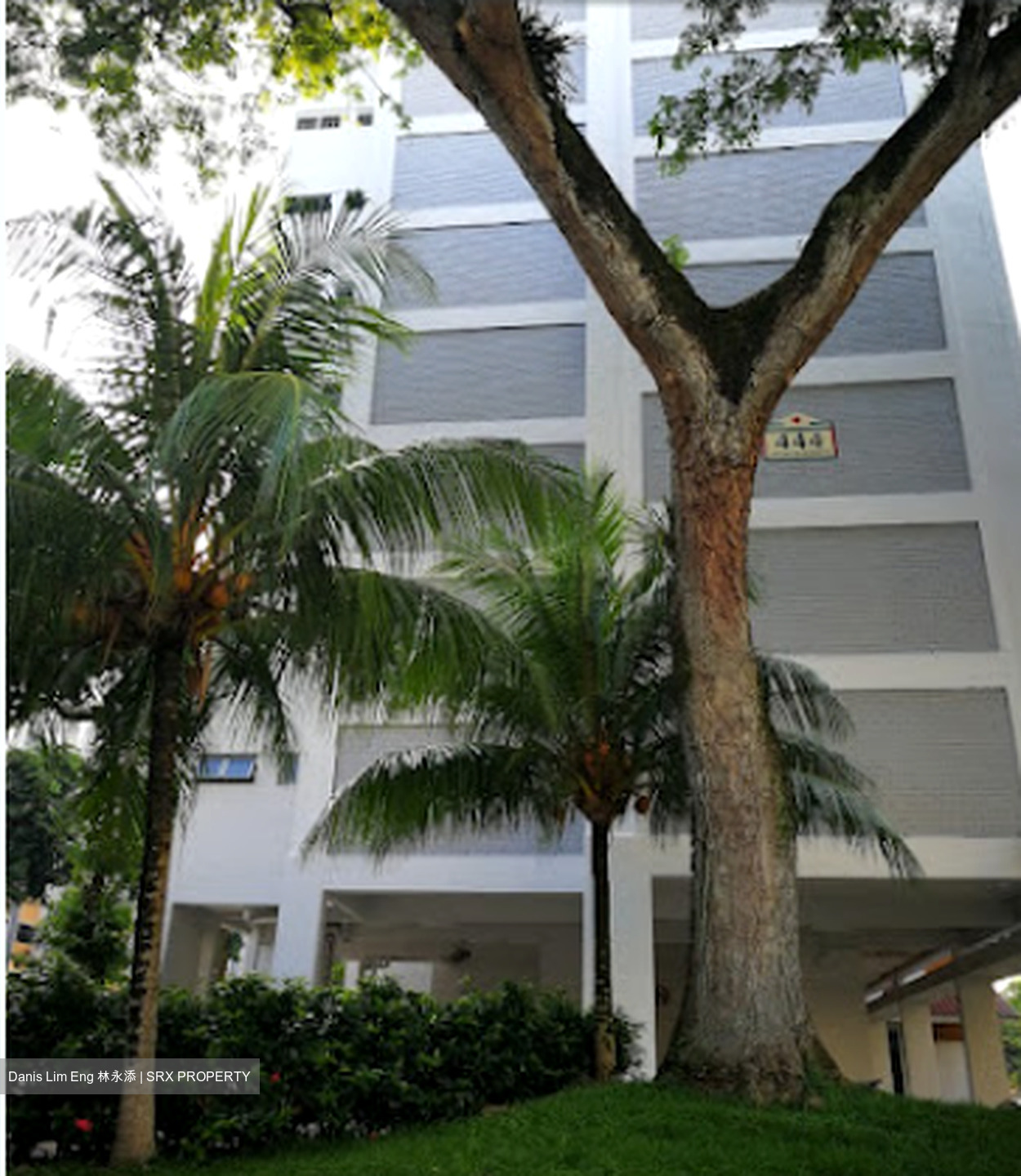 Blk 440 Ang Mo Kio Avenue 10 (Ang Mo Kio), HDB 3 Rooms #580239501